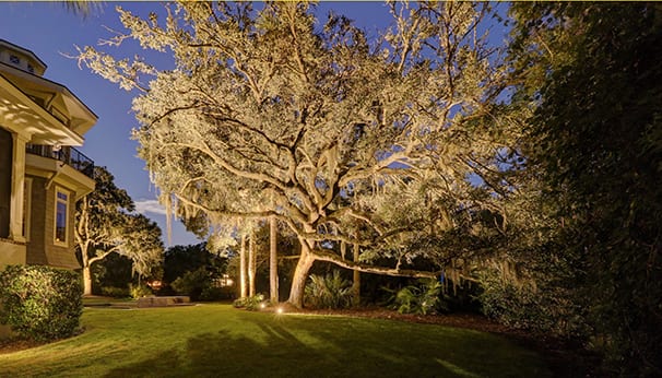 Hilton Head Landscape Lights