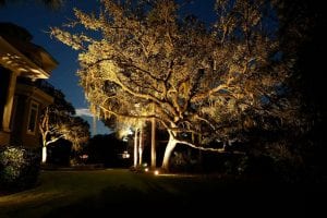 Greenville Outdoor Lighting Business