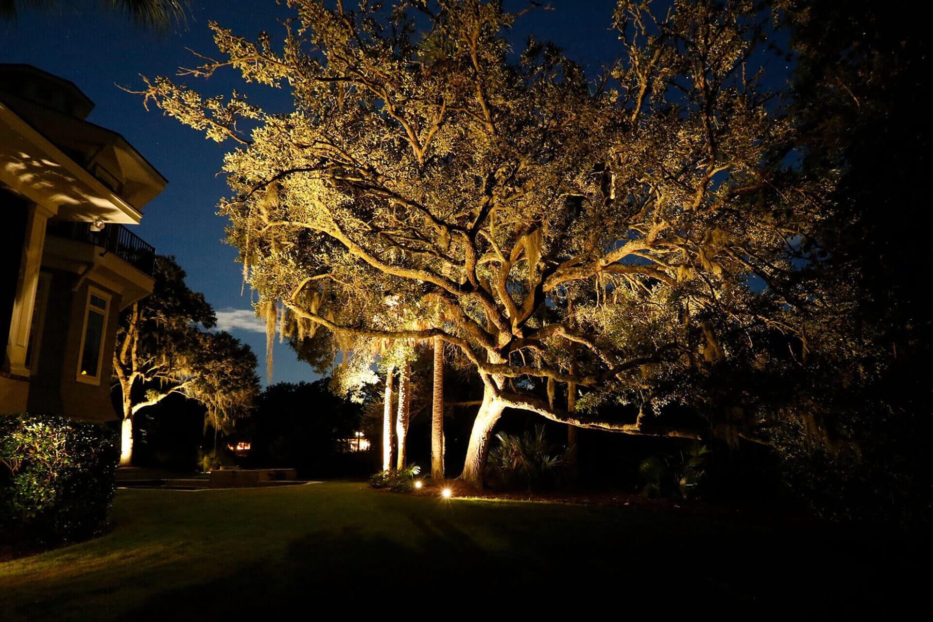 Greenville Outdoor Lighting Business on Techniques for Tree Lighting