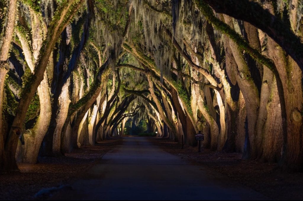 Charleston Commercial Outdoor Lights